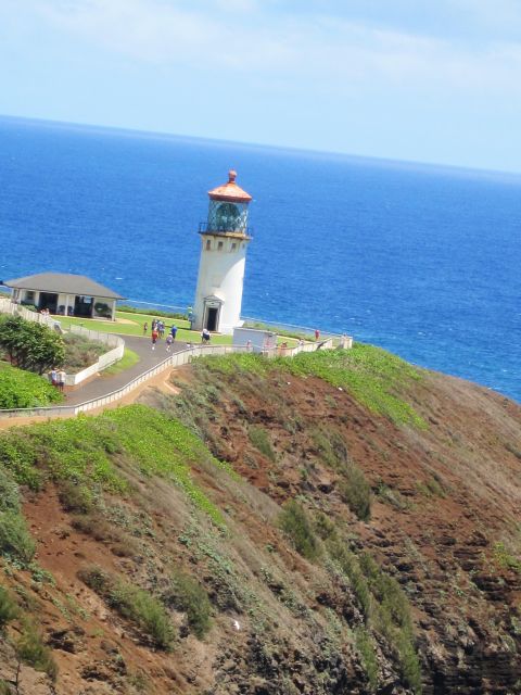 IMG 0431 copy